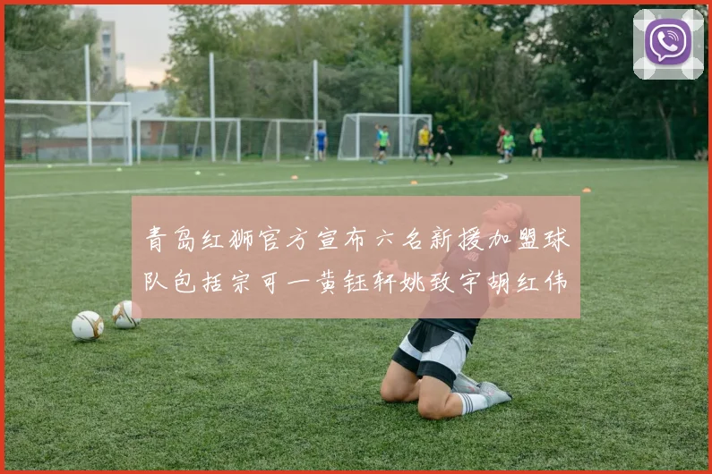 青岛红狮官方宣布六名新援加盟球队包括宗可一黄钰轩姚致宇胡红伟等人