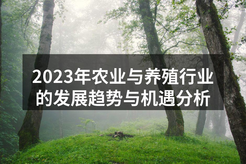 现代化养殖场的全景
